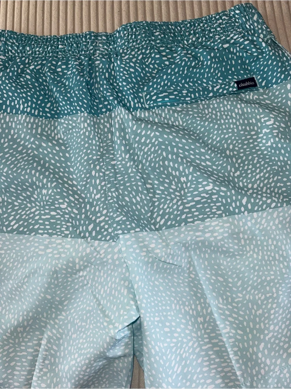 chubbies Teal & Light Blue Patterned Hybrid Shorts